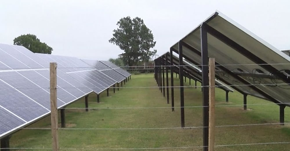 Ya esta en marcha el primer tambo con energía renovable