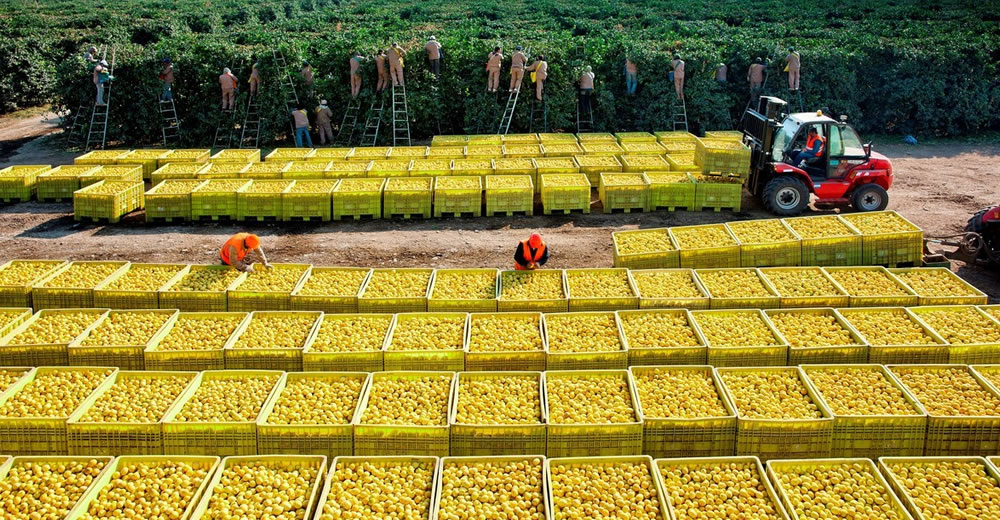 El agro sigue sin poder derribar los prejuicios de la población urbana