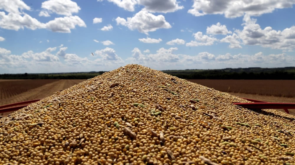 La AFIP y la Secretaría de Gobierno de Agroindustria acordaron adecuar el sistema de liquidación de granos