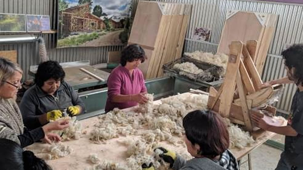 Utilizan lana de descarte como aislante térmico