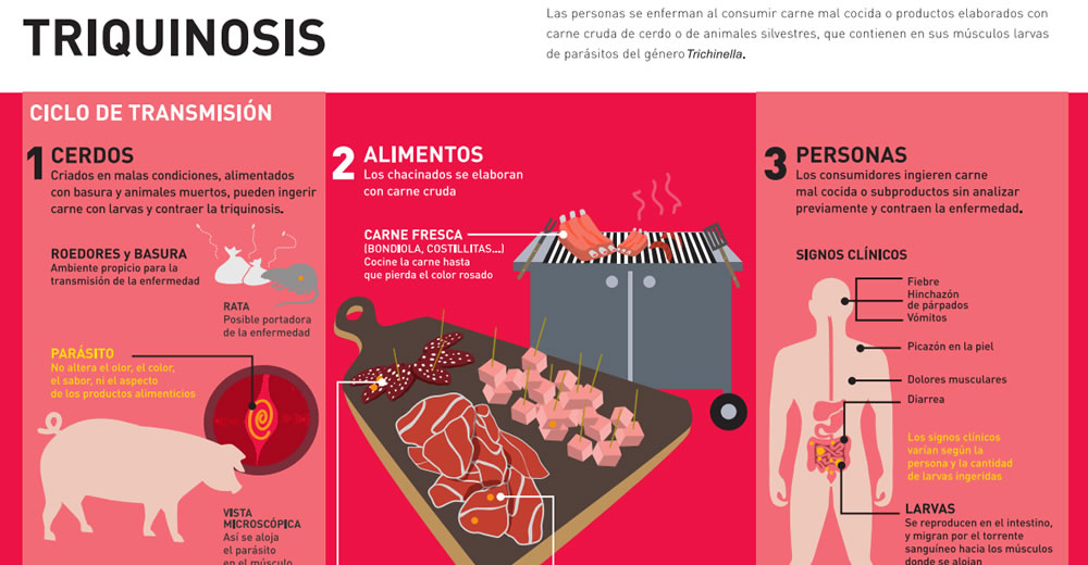 El Senasa brinda recomendaciones para prevenir la triquinosis en humanos