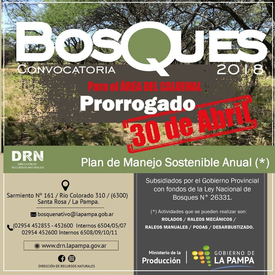 Prorroga convocatoria para recibir aportes de la Ley de Bosques – Área del Caldenal