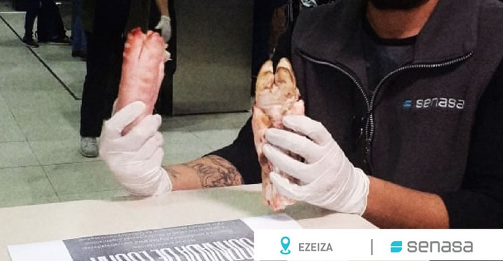 Decomisan 6 patas de cerdo procedente de China en el Aeropuerto de Ezeiza