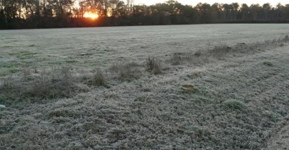 Pronosticador de heladas: el ingenio argentino a la conquista de los campos del mundo