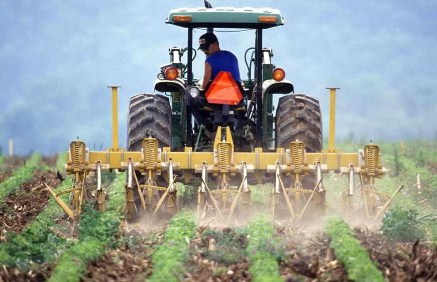 Emergencia agropecuaria: qué zonas están alcanzadas y cómo acceder a los beneficios impositivos