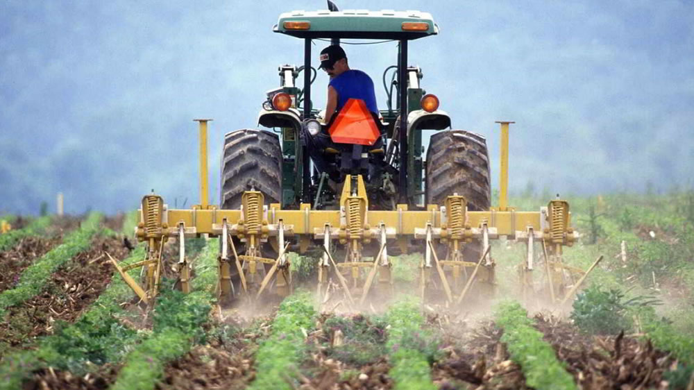 Argentina entre los 10 lideres de la producción mundial agropecuaria