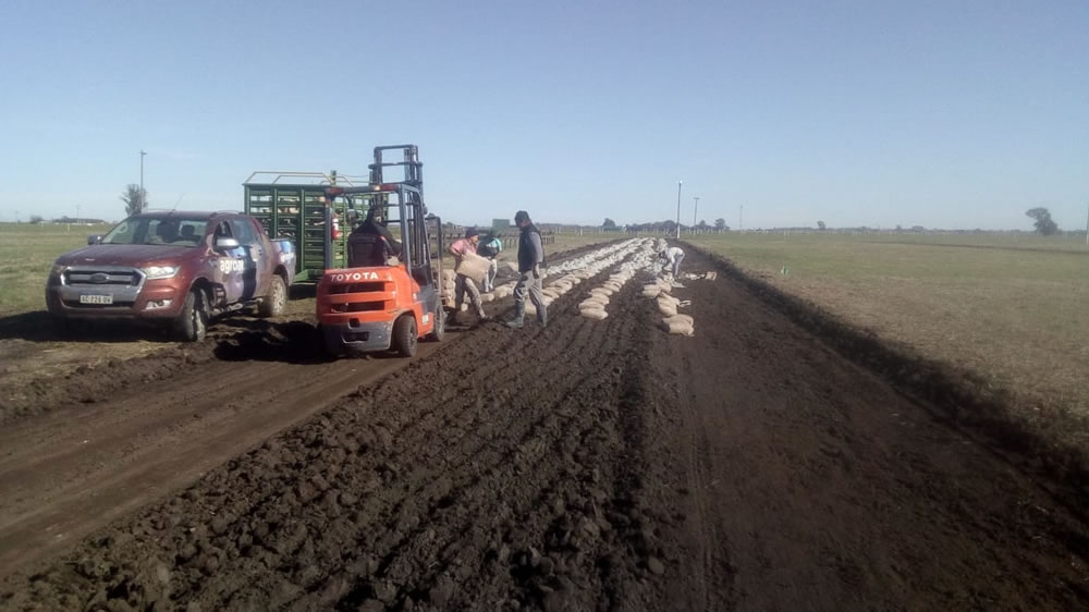 Agrovial el nuevo producto para la estabilización de caminos rurales se lanzará en Agroactiva