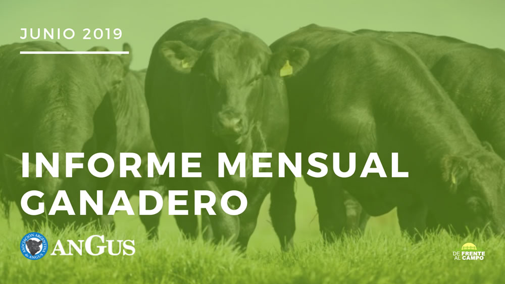 angus informe mensual ganadero – Mes Junio