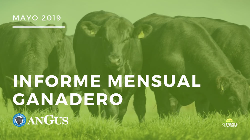 angus informe mensual ganadero – Mes Mayo