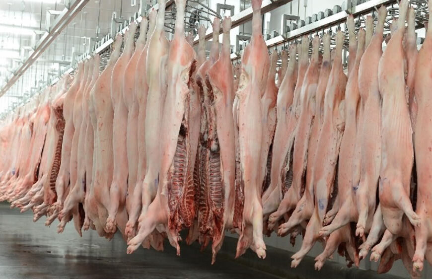 El consumo de carne de cerdo se acerca a los 21 kilos por habitante/año