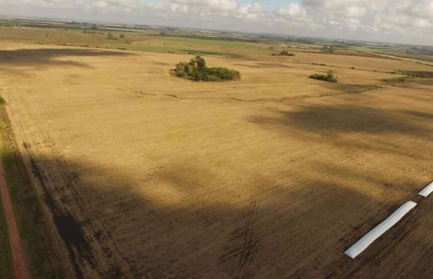 Drones y su uso para inmobiliarias rurales: cómo relevar campos en minutos