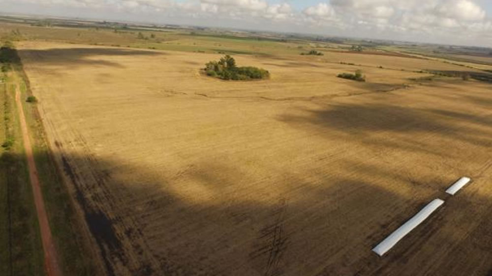 Drones y su uso para inmobiliarias rurales: cómo relevar campos en minutos