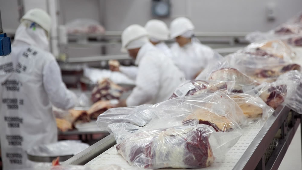 Demanda prudente y sostenida impulsa las exportaciones de carne vacuna