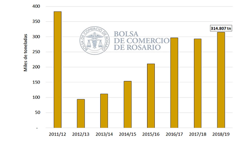 Las exportaciones de harina de trigo crecen al 23% anual y los molinos ya compran el trigo 2020