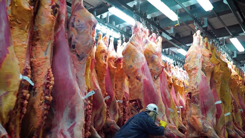 Crecieron un 65% las exportaciones bonaerenses de carne a China