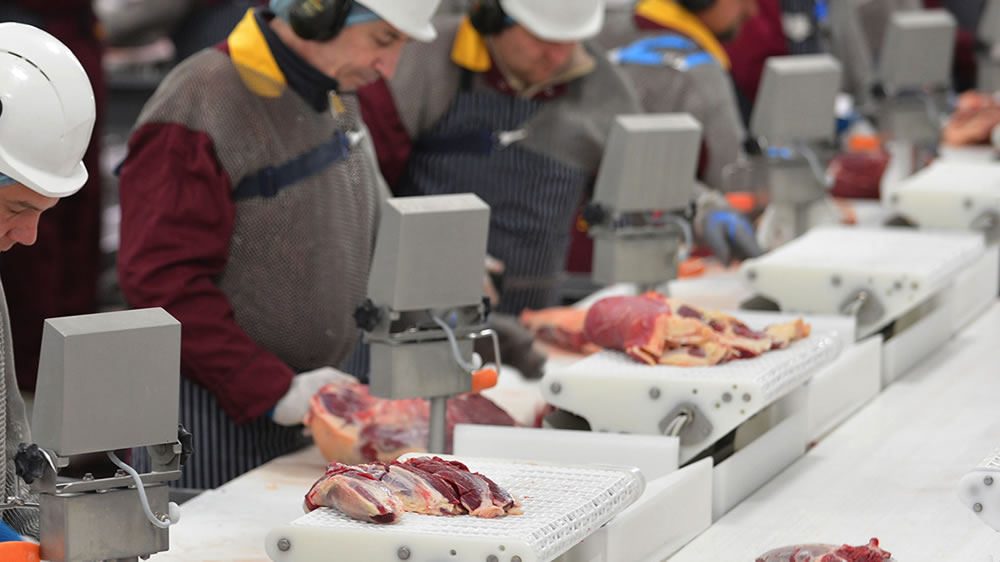 «China representa una gran oportunidad para las carnes»