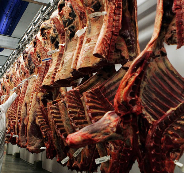 Argentina podría aumentar un 30% su producción de carne vacuna: qué condiciones necesita