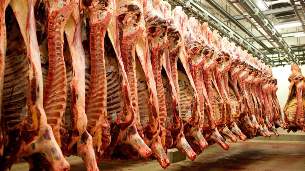 Baja marginal en el precio índice internacional de la carne vacuna
