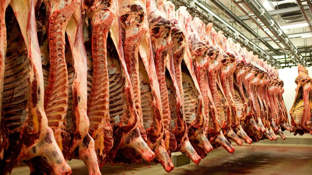 Qué proponen los científicos para fortalecer la sustentabilidad de la carne argentina