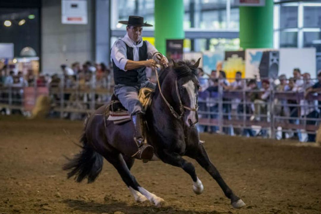 Cortocircuitos entre criadores de caballos y el gobierno de Vidal