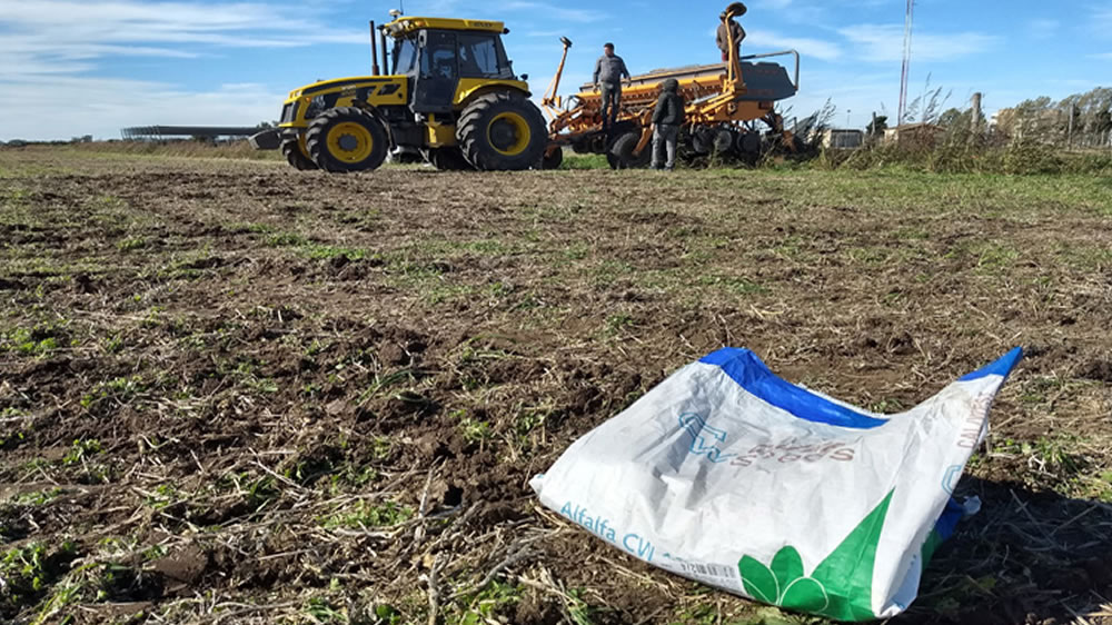 Santa Fe Centro: La alfalfa se siguió sembrando en junio