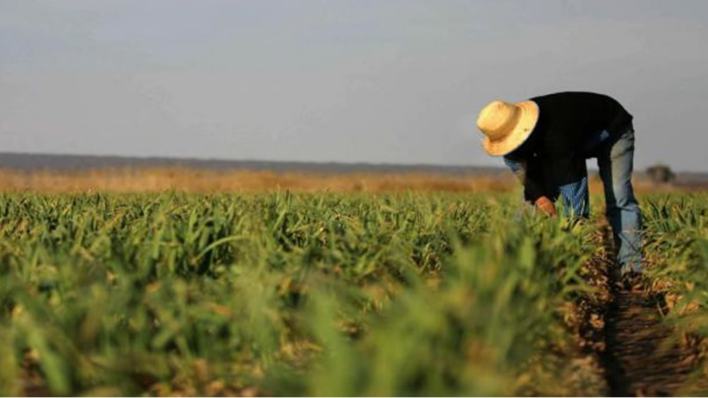 Incorporación del código de barras en la Libreta del Trabajador Rural