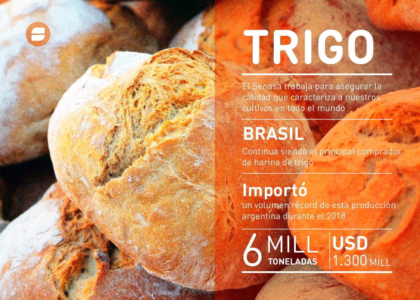 Gracias a la calidad del trigo argentino, por el pan nuestro de cada día