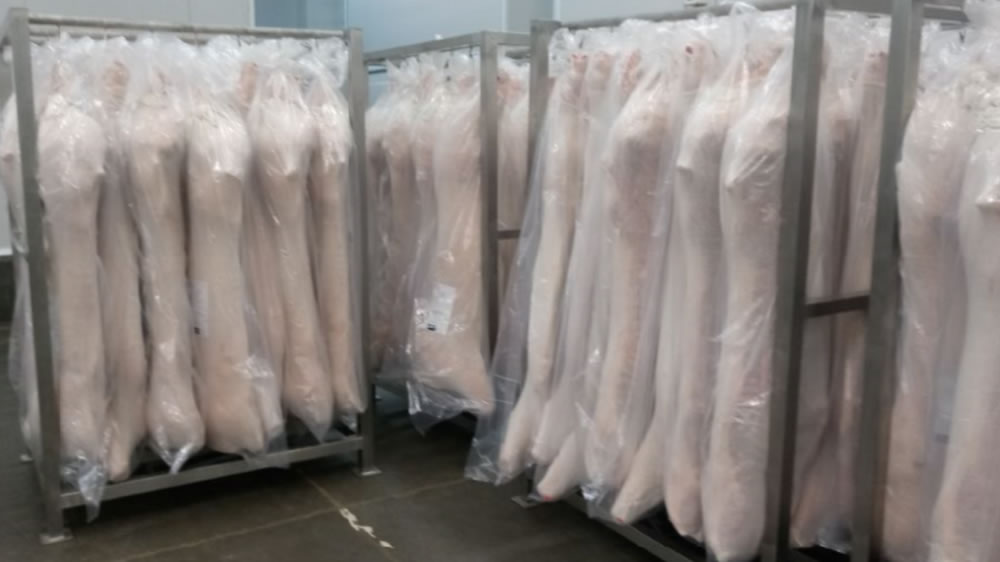 Carne de cerdo a China: cierran el primer negocio para exportar 300 toneladas