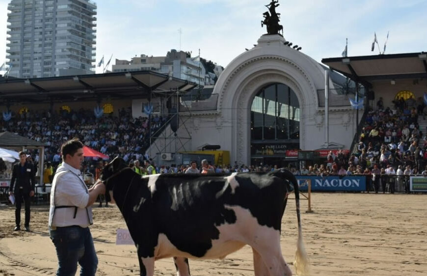 Efecto coronavirus: por segundo año consecutivo se suspendió la Rural de Palermo