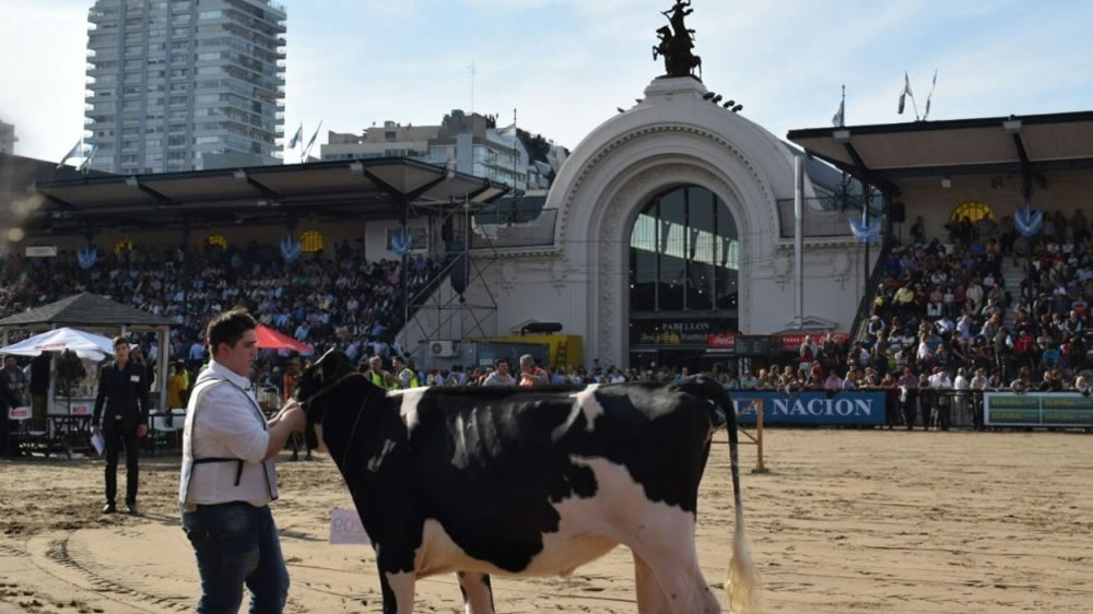 Efecto coronavirus: por segundo año consecutivo se suspendió la Rural de Palermo