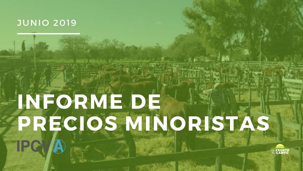 Informe de precios minoristas de junio de 2019