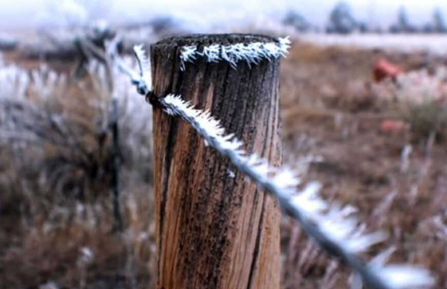 Se viene una semana helada en la mayor parte del área agrícola con lluvias para pocos