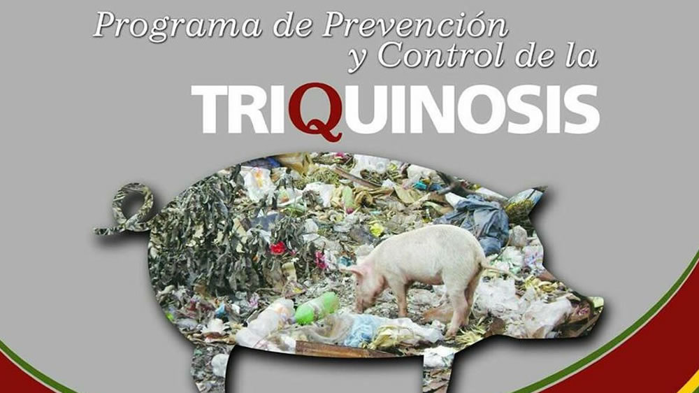 Por la triquinosis, en La Pampa se pide la prevención a través del análisis