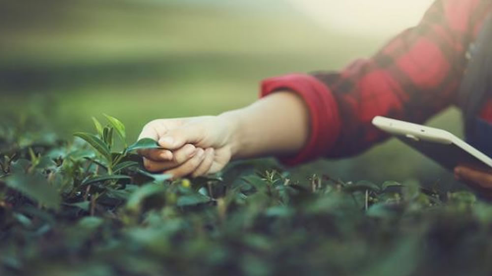 Se realizará el primer encuentro de potenciación de agtech