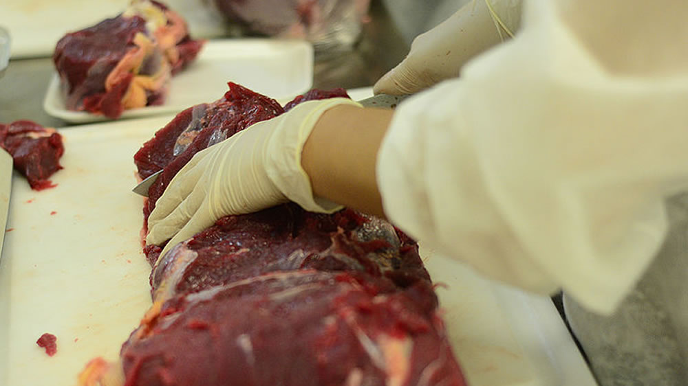 Altitud oscurecería carne de ganado bovino