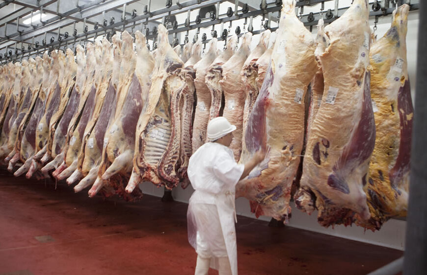 La producción mundial de carne alcanzaría a 364 mill/tn en 2028 (13% más)