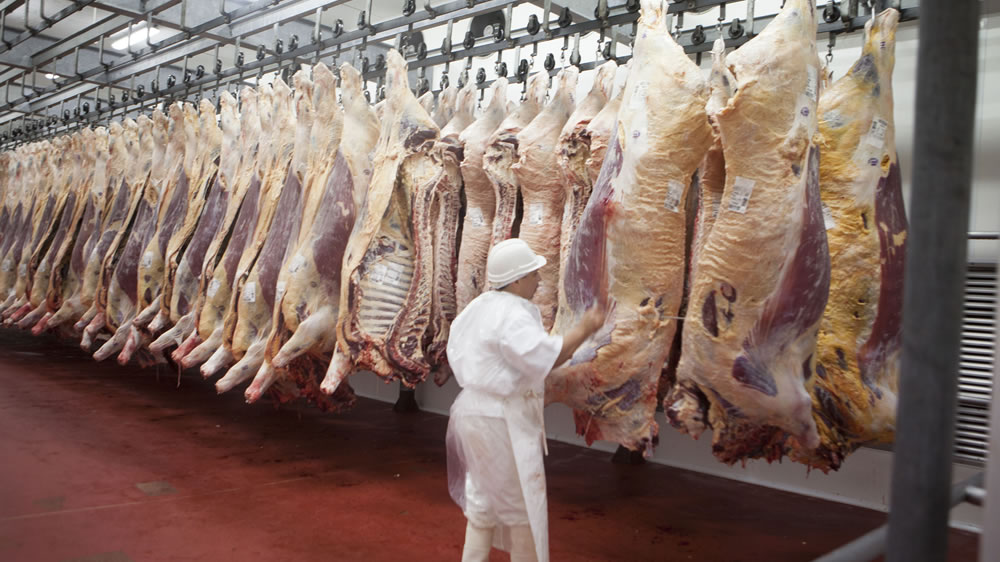 Ministros de Córdoba y Santa Fe piden al Gobierno que reabra las exportaciones de carne