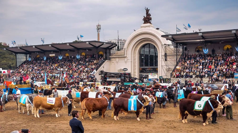 Los cerdos, en la Semana de las Carnes de la Rural