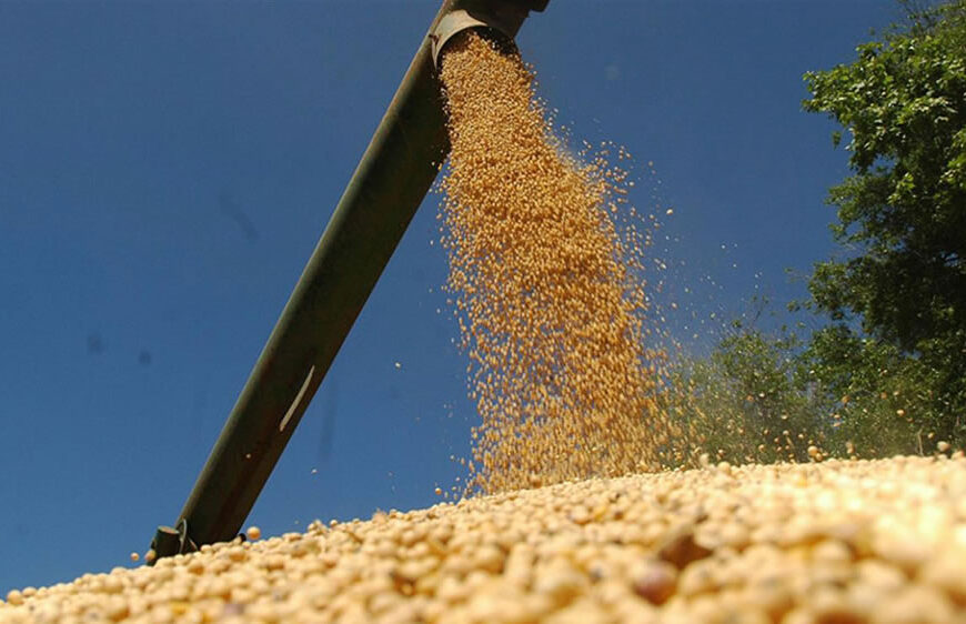 El agro liquidó hoy otros USD 623 millones con el “dólar soja” y acumula más de USD 1.400 millones en la semana