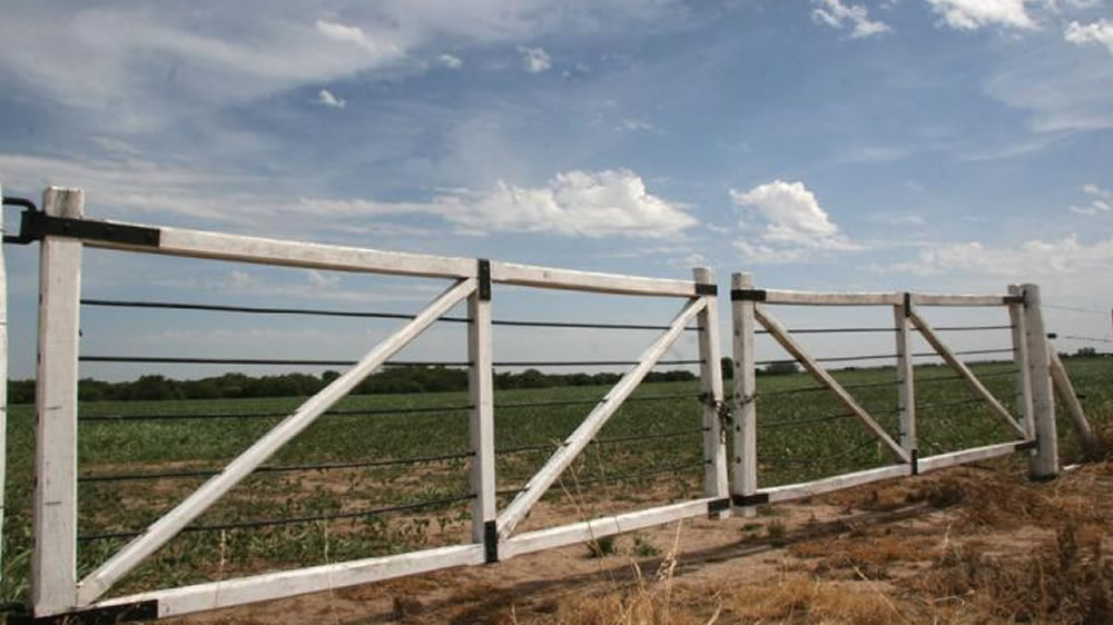 En 18 años. Cómo el campo generó divisas por US$407.000 millones