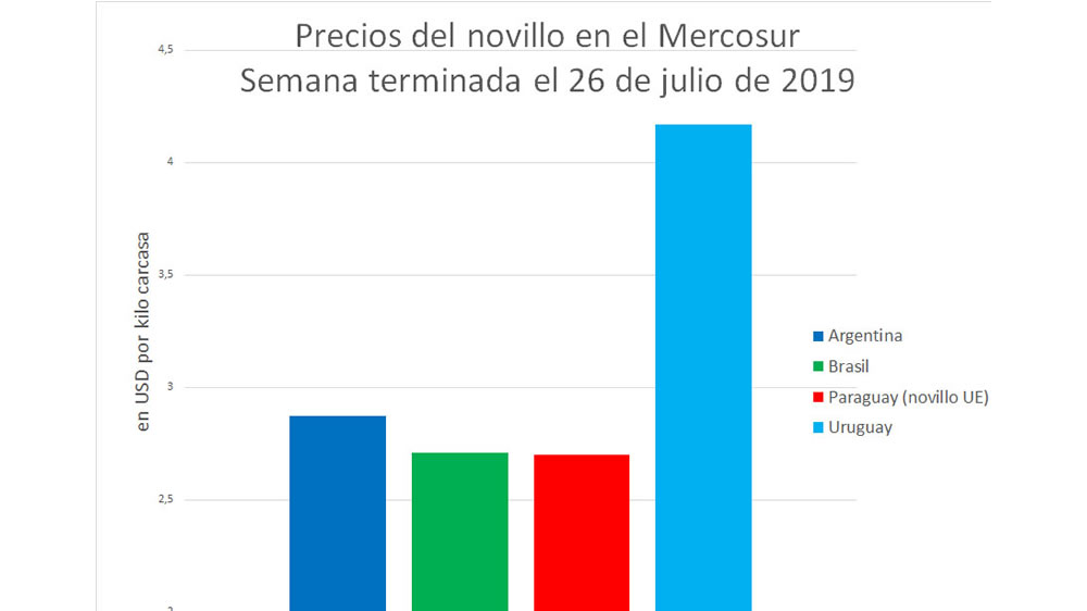 Novillo Mercosur: la Argentina tuvo la mayor baja de precios