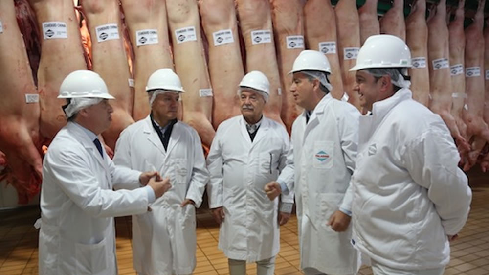Argentina muy pronto debutará como país exportador de carne porcina a China