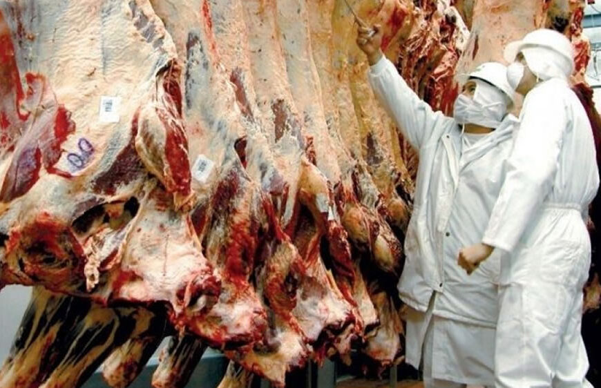 El mercado chino de carne vuelve gradualmente a la normalidad de acuerdo con Minerva