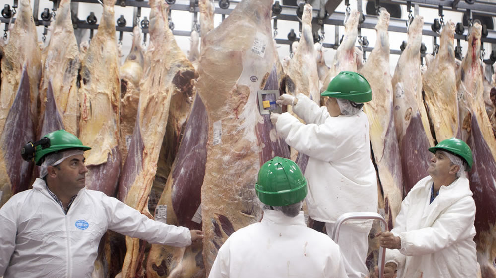 Con la exportación de carne batiendo récords, la faena llegó a los altísimos niveles de 2009, año de feroz liquidación