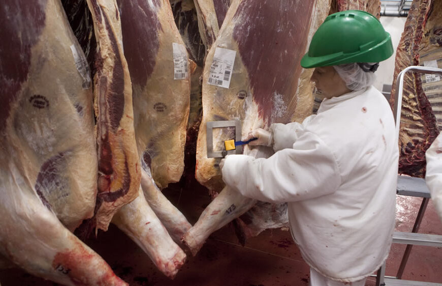 Quiénes fueron los mayores faenadores de la Argentina en abril