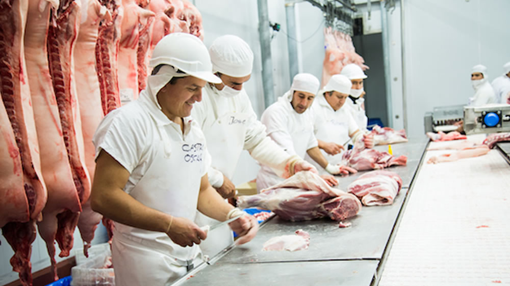 Argentina y su gran industria porcina