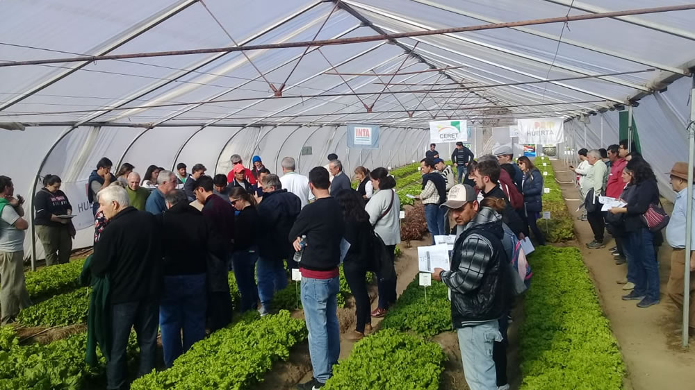 Jornada Invernal de Lechuga en La Pampa