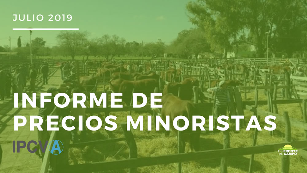 Informe de precios minoristas de julio de 2019