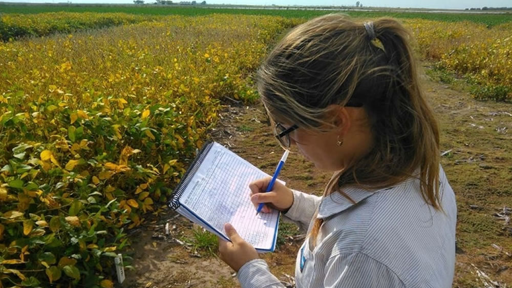 La historia de Paula Girón, la niña que soñaba con ser ingeniera agrónoma y hoy es Jefa de Agricultura en INTA Villegas