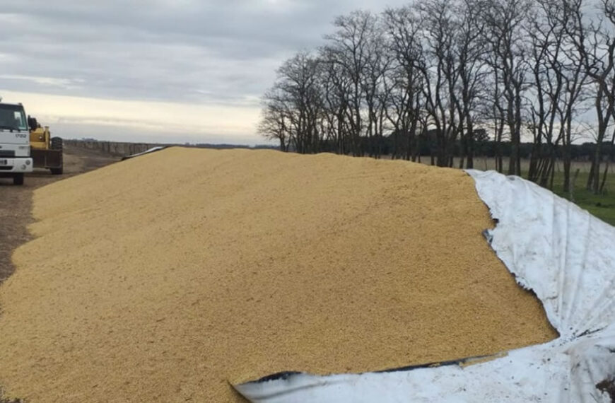 Ataques a silo bolsas: denuncian nuevas roturas desde distintos puntos del país y apuntan al Presidente